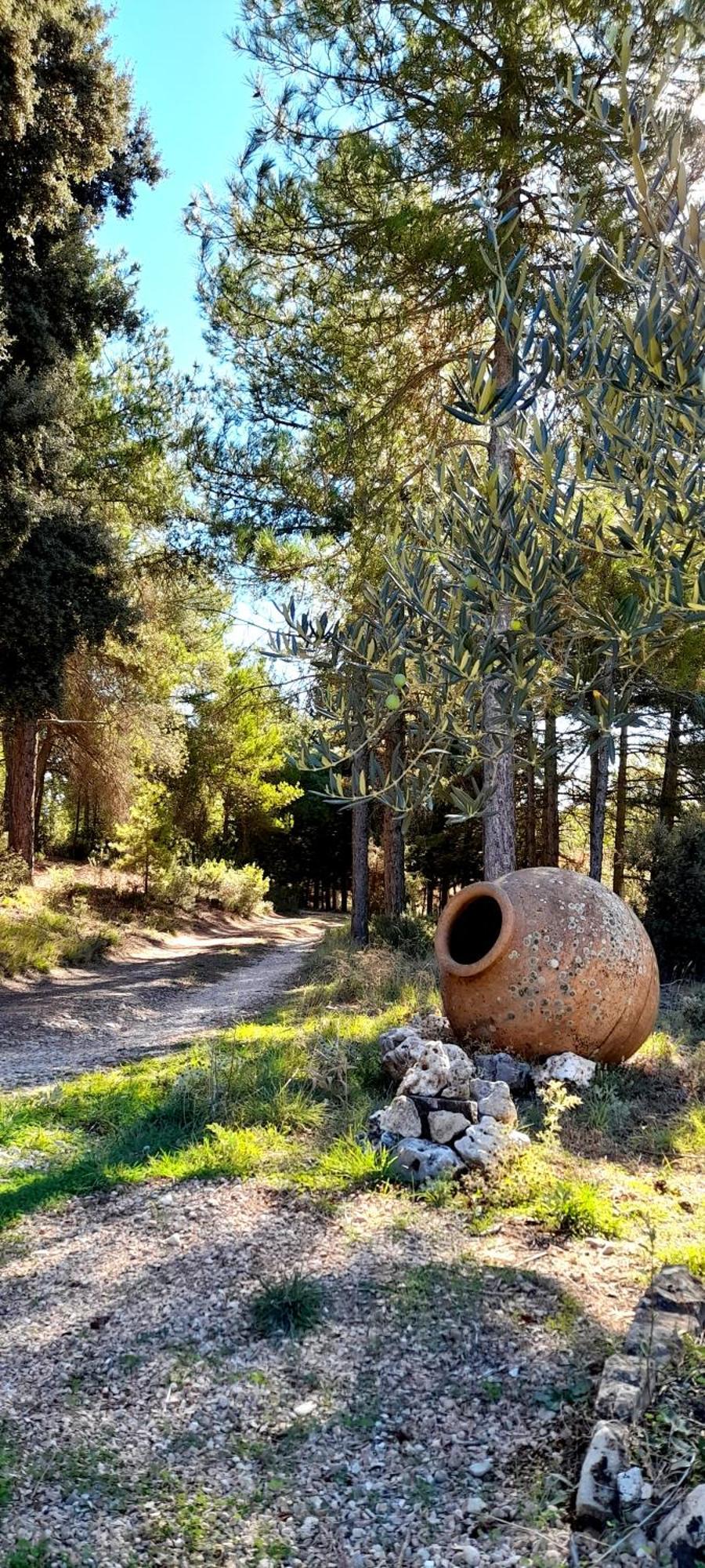 Villa Sanz Cuenca  Kültér fotó